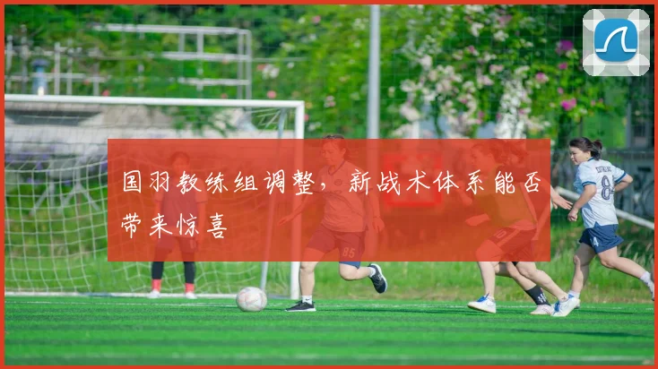 国羽教练组调整，新战术体系能否带来惊喜