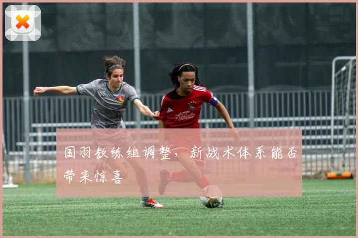 国羽教练组调整，新战术体系能否带来惊喜
